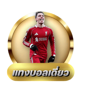 แทงบอลเดี่ยว